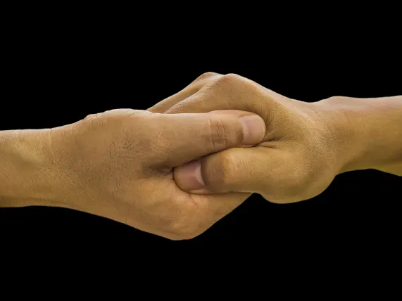 Casino Stake 7 Suporte